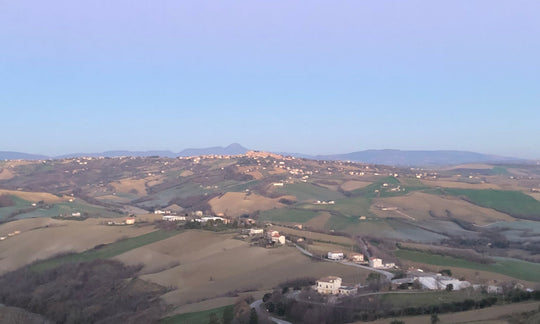 Our Story: Why Italy?