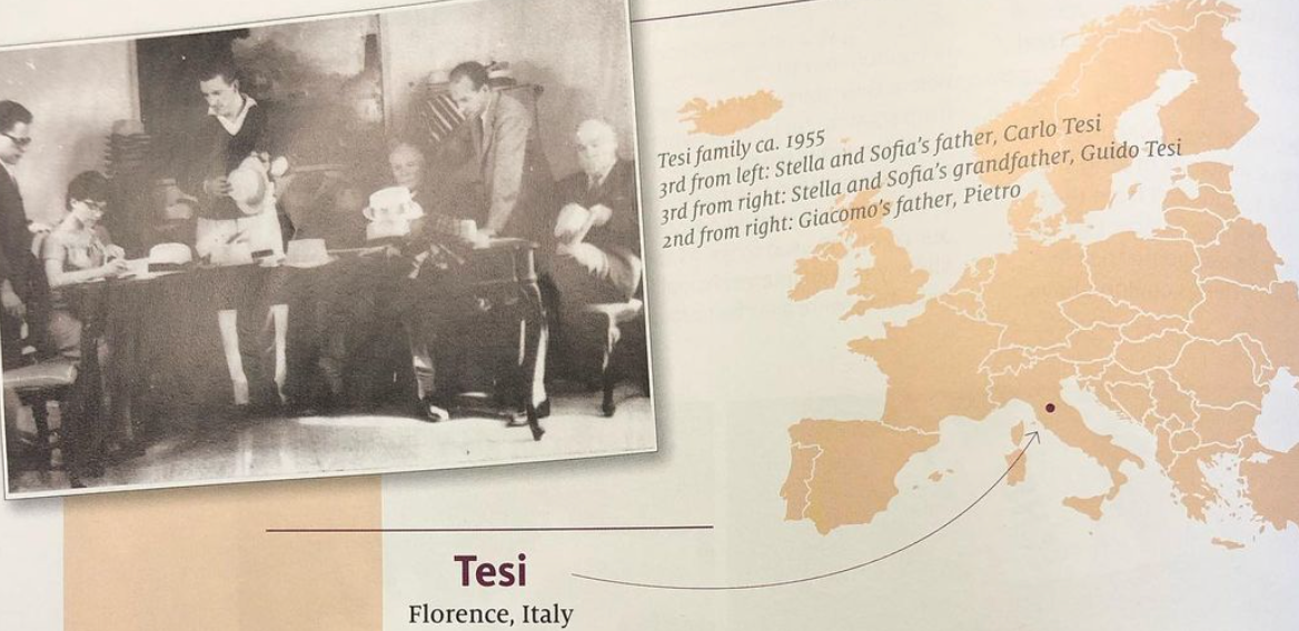 Tesi: Excellence in Every Brim