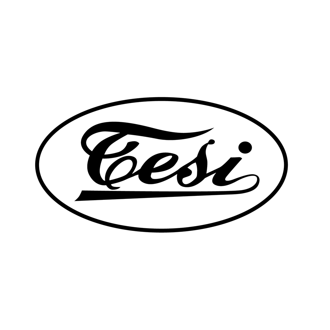 Tesi Hats logo